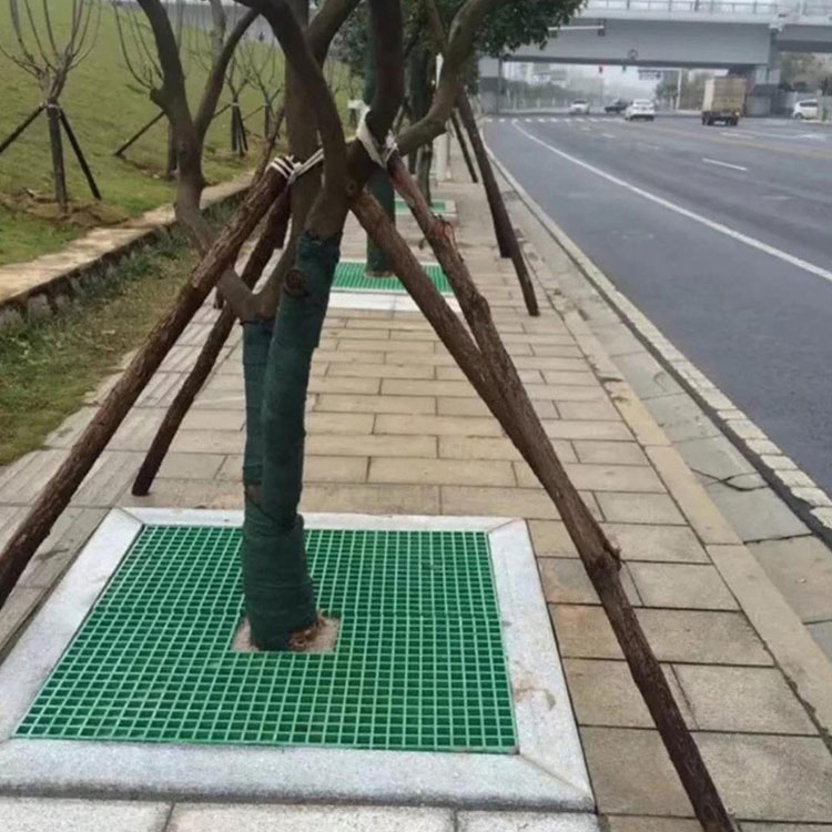 樹篦子 (8).jpg